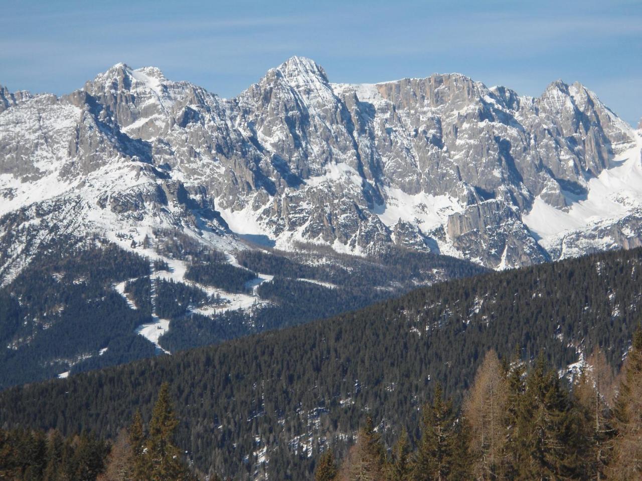 Appartamenti Patrizia San Pietro di Cadore Exterior foto
